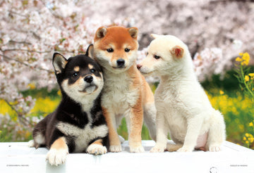 yanoman-03-883-friendly-friends-(shiba-inu)-300-pieces-jigsaw-puzzle