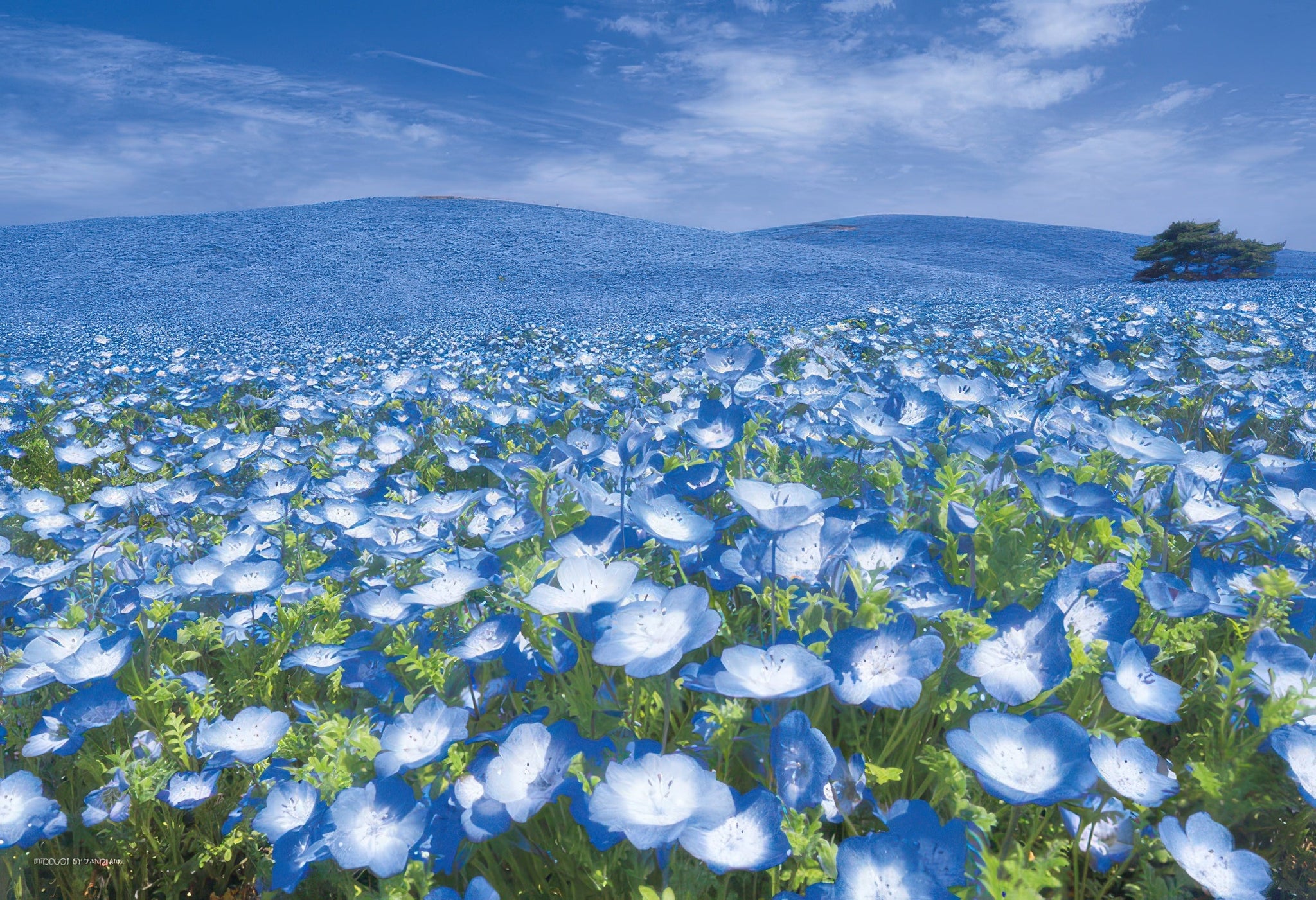 yanoman-03-911-hills-connecting-the-sky-(ibaraki)-300-pieces-jigsaw-puzzle