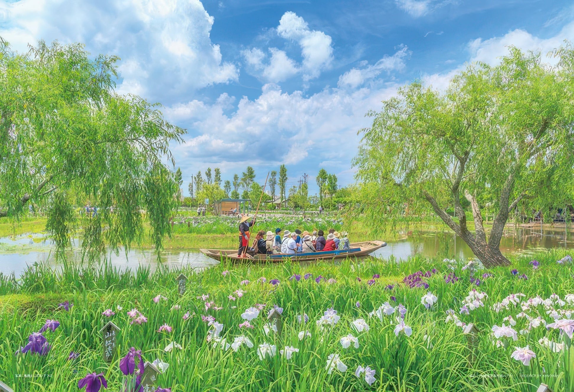 yanoman-03-939-scenery-japanese-iris-and-sappa-boat-chiba-300-pieces-jigsaw-puzzle