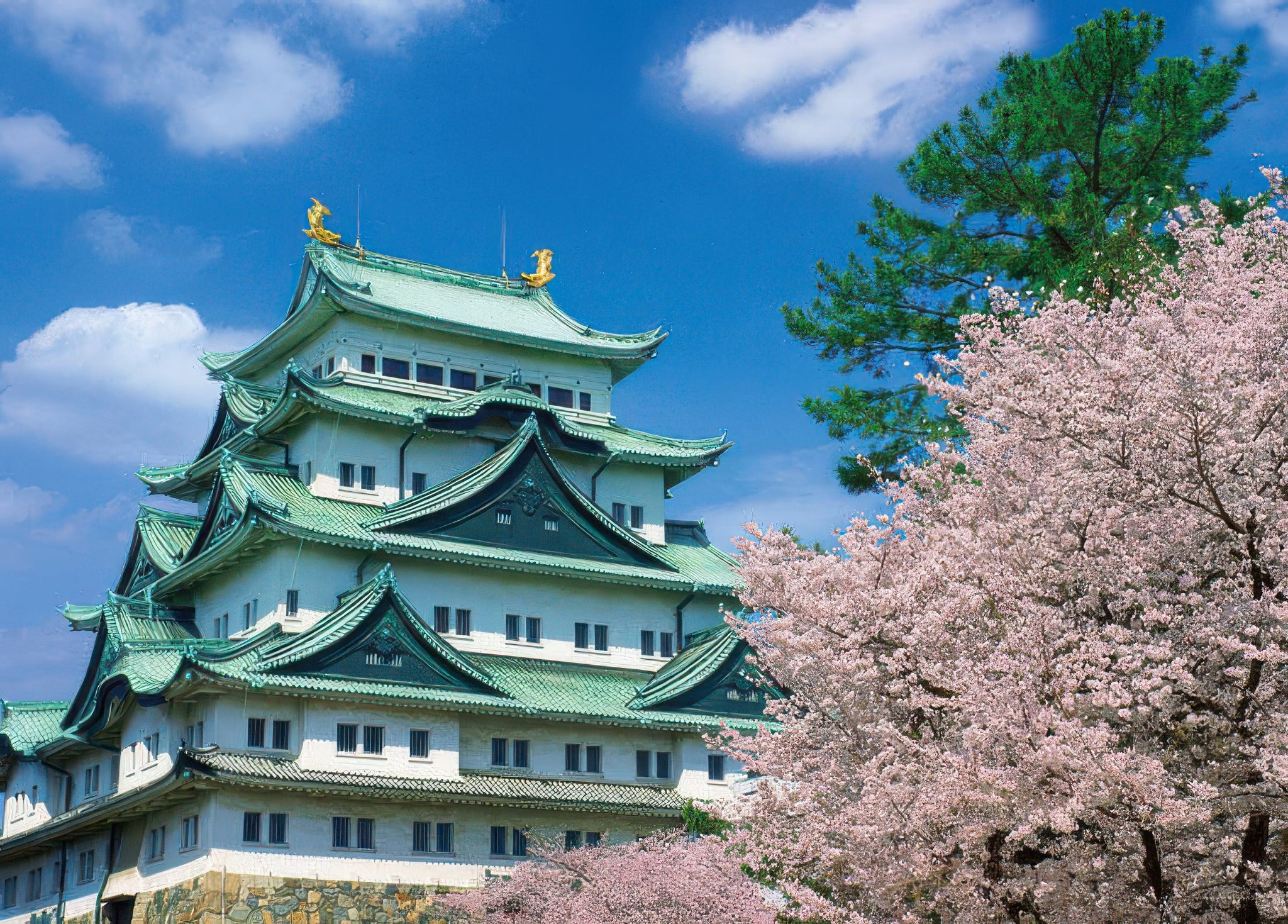 yanoman-05-1004-scenery-blooming-sakura-at-nagoya-castle-aichi-500-pieces-jigsaw-puzzle