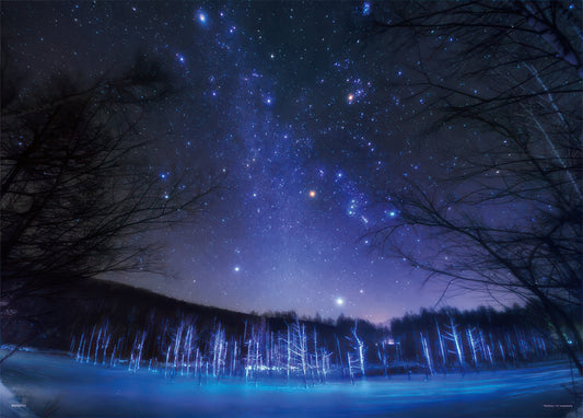 Yanoman 05-1014　Scenery • Falling Stars in Biei, Hokkaido　500 Pieces Jigsaw Puzzle