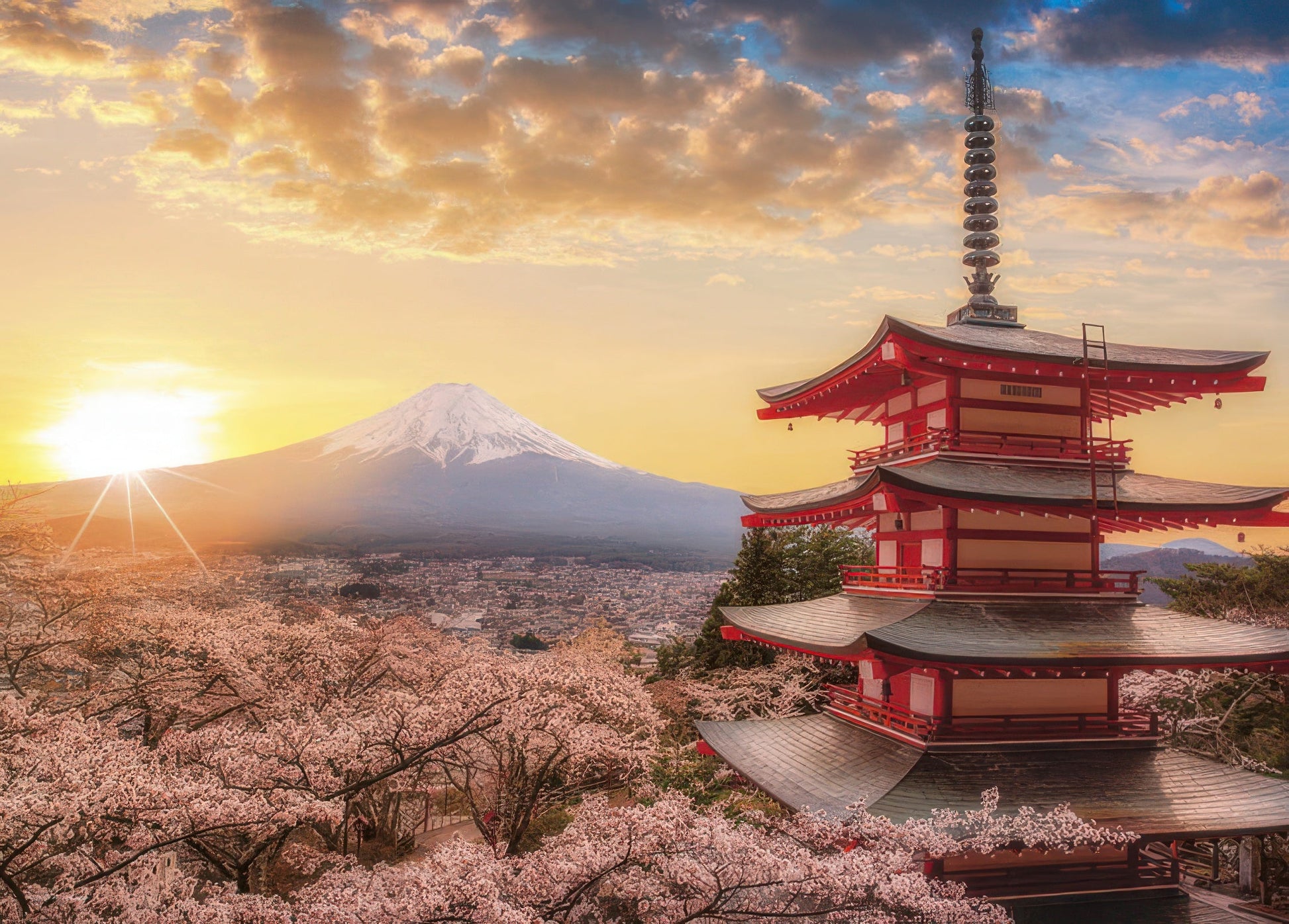 yanoman-05-1023-scenery-mount-fuji-and-cherry-blossoms-in-dawn-yamanashi-500-pieces-jigsaw-puzzle