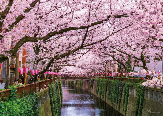 Yanoman 05-1070　Scenery • Meguro River Sakura Festival, Tokyo　500 Pieces Jigsaw Puzzle