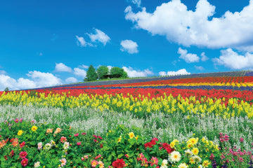 yanoman-10-1344-scenery-hill-of-flowers-in-furano-hokkaido-1000-pieces-jigsaw-puzzle