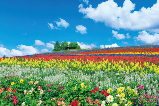 Yanoman 10-1344　Scenery • Hill of Flowers in Furano, Hokkaido　1000 Pieces Jigsaw Puzzle