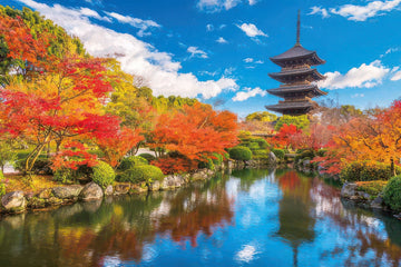 yanoman-10-1378-scenery-autumn-tour-of-toji-kyoto-1000-pieces-jigsaw-puzzle