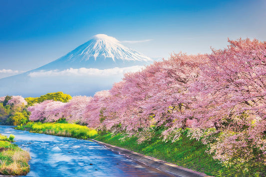 Yanoman 10-1387　Scenery • Row of Sakura Trees in Spring and Mt. Fuji, Shizuoka　1000 Pieces Jigsaw Puzzle