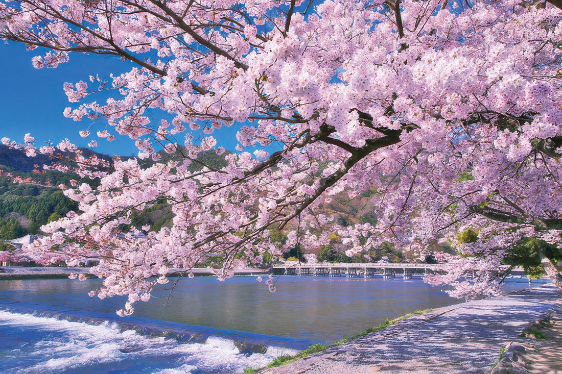 yanoman-10-1388-scenery-full-bloom-sakura-at-arashiyama-kyoto-1000-pieces-jigsaw-puzzle