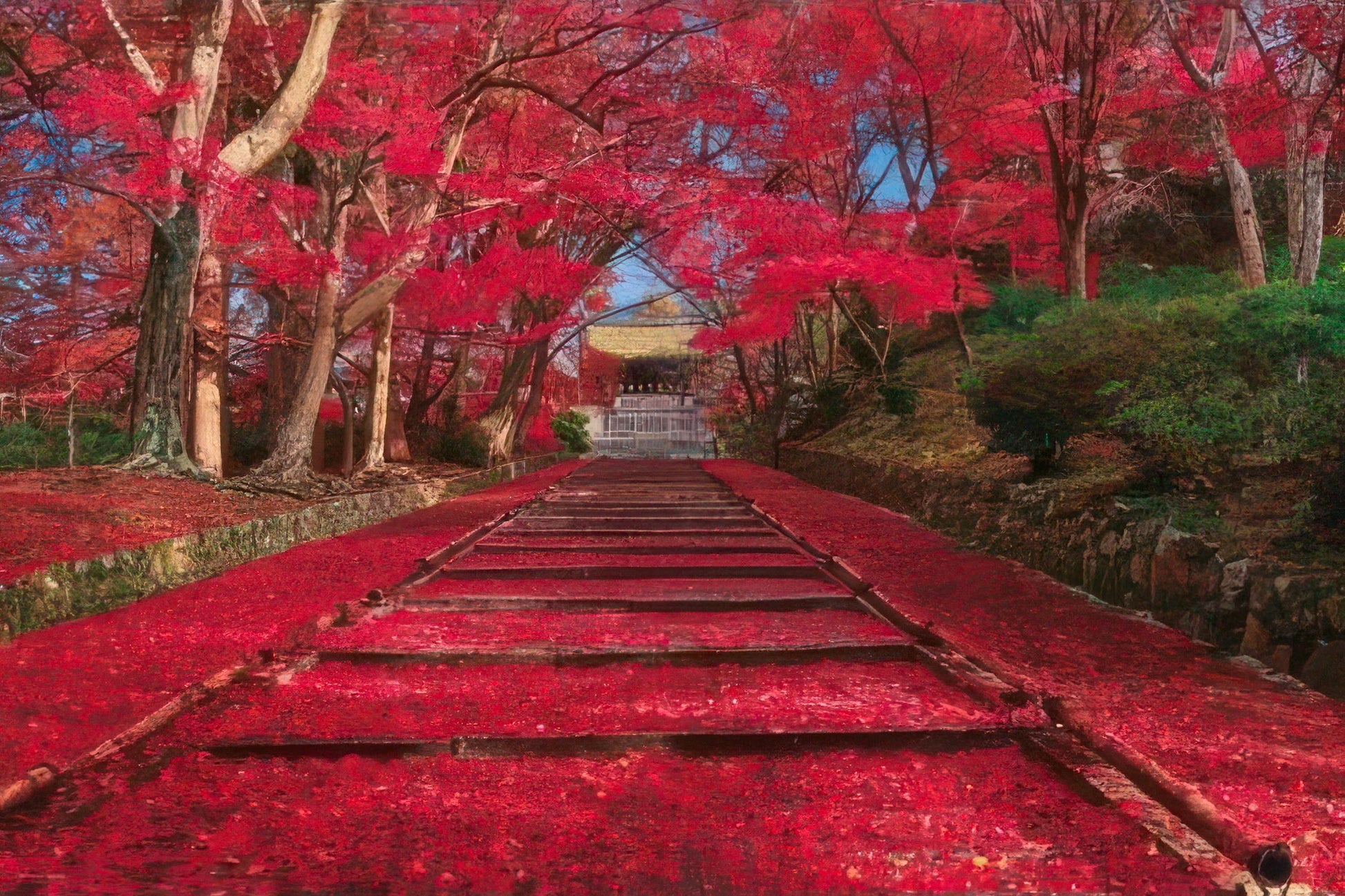 yanoman-10-1400-scenery-autumn-at-bishomon-do-kyoto-1000-pieces-jigsaw-puzzle