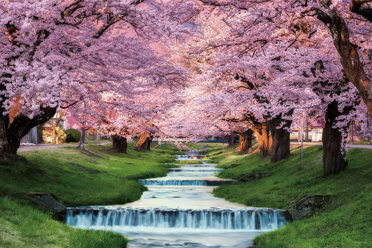 Yanoman 10-1410　Scenery • Kannonji River Sakura, Fukushima　1000 Pieces Jigsaw Puzzle