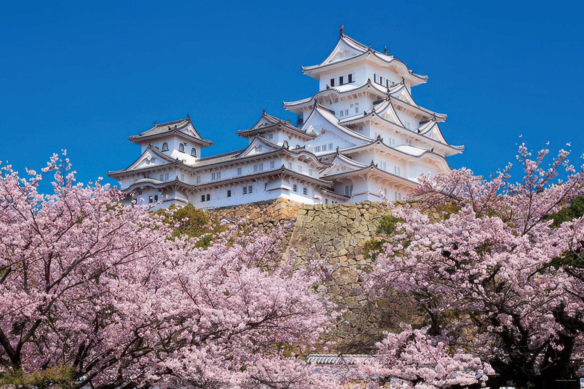 yanoman-10-1411-scenery-himeji-castle-thousand-sakura-hyogo-1000-pieces-jigsaw-puzzle