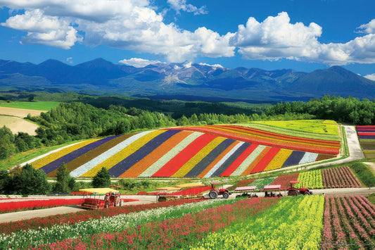 Yanoman 10-1422　Scenery • Shikisai Hill and Tokachidake Mountain Range, Hokkaido　1000 Pieces Jigsaw Puzzle