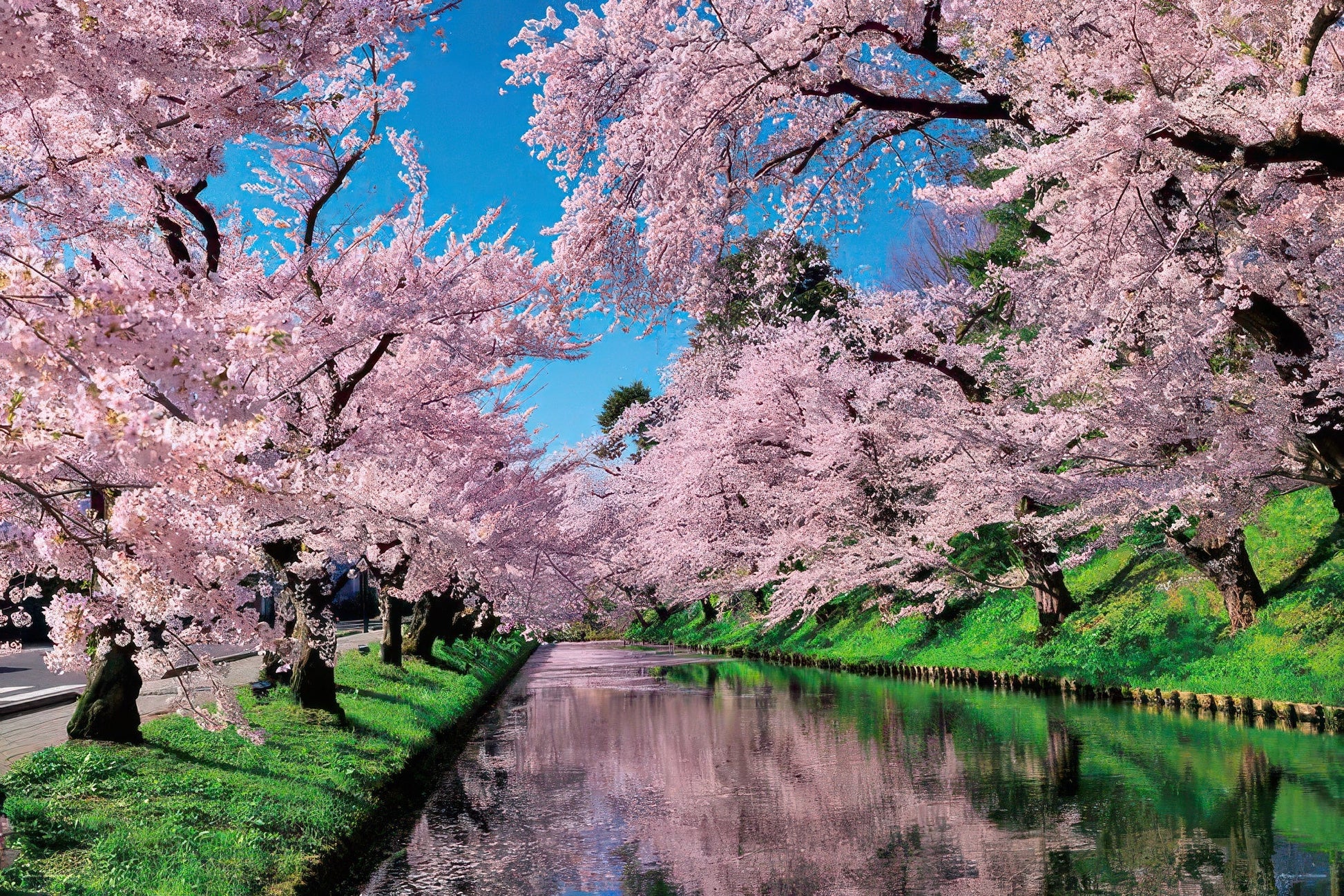 yanoman-10-1455-scenery-sakura-at-hirosaki-park-aomori-1000-pieces-jigsaw-puzzle