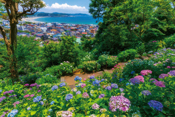 yanoman-10-1465-scenery-hydrangeas-and-yuigahama-beach-kanagawa-1000-pieces-jigsaw-puzzle