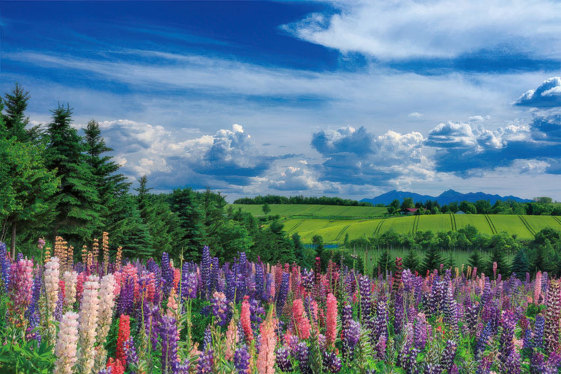 yanoman-10-1466-scenery-early-summer-breeze-of-kamifurano-hokkaido-1000-pieces-jigsaw-puzzle