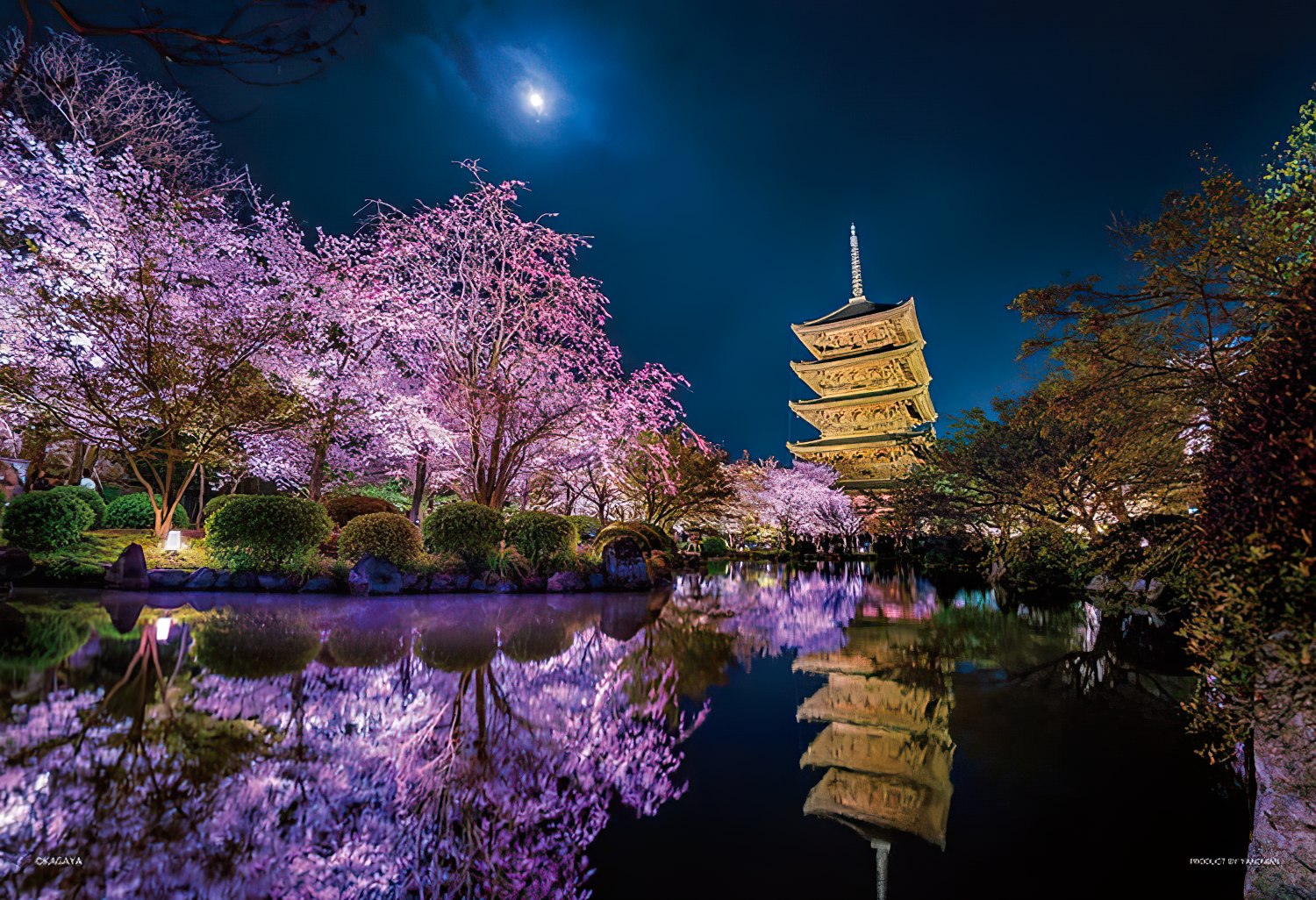 Yanoman • Japan • Blooming Under the Moon, Kyoto　1000 PCS　Jigsaw Puzzle