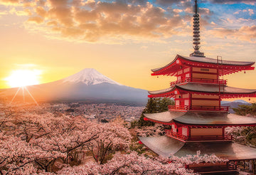 Yanoman • Japan • Mt. Fuji and Blooming Sakura, Yamanashi　1000 PCS　Jigsaw Puzzle