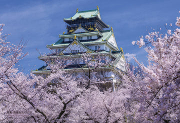 yanoman-97-309-osaka-castle-keep-in-full-bloom-70-pieces-jigsaw-puzzle