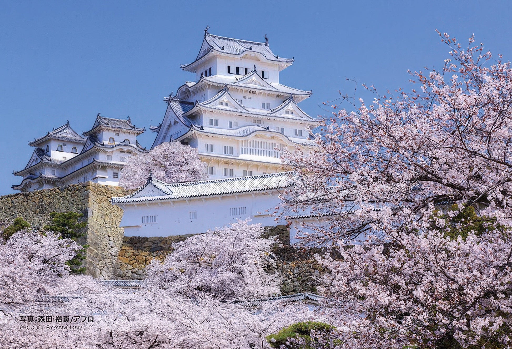 yanoman-97-310-himeji-castle-with-fragrant-cherry-blossoms-70-pieces-jigsaw-puzzle
